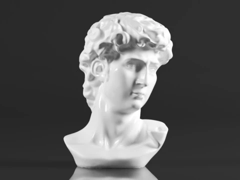 Cozylkx 114 Inch Premium Resin Greek Michelangelo David Bust Statue Replica Sculpture Home Art Deco 3D Print Model