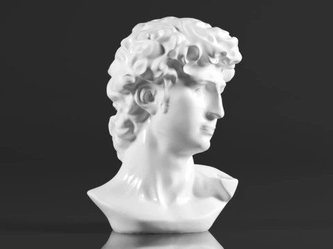 Cozylkx 114 Inch Premium Resin Greek Michelangelo David Bust Statue Replica Sculpture Home Art Deco 3D Print Model