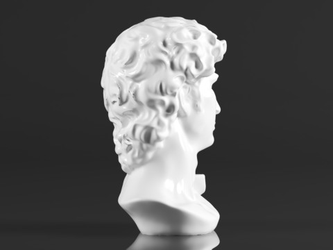 Cozylkx 114 Inch Premium Resin Greek Michelangelo David Bust Statue Replica Sculpture Home Art Deco 3D-Druckmodell