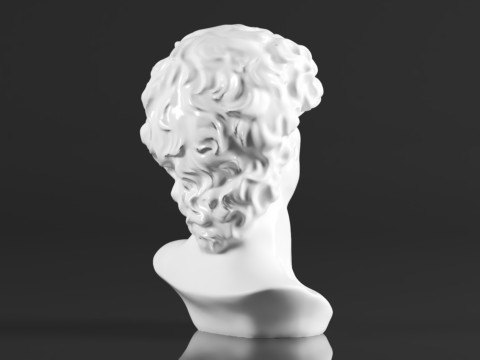Cozylkx 114 Inch Premium Resin Greek Michelangelo David Bust Statue Replica Sculpture Home Art Deco 3D-Druckmodell