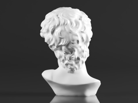Cozylkx 114 Inch Premium Resin Greek Michelangelo David Bust Statue Replica Sculpture Home Art Deco 3D-Druckmodell
