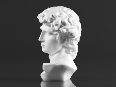 Cozylkx 114 Inch Premium Resin Greek Michelangelo David Bust Statue Replica Sculpture Home Art Deco 3D-Druckmodell