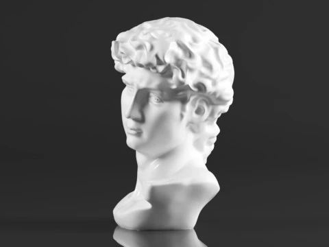 Cozylkx 114 Inch Premium Resin Greek Michelangelo David Bust Statue Replica Sculpture Home Art Deco 3D Print Model