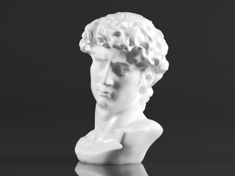 Cozylkx 114 Inch Premium Resin Greek Michelangelo David Bust Statue Replica Sculpture Home Art Deco 3D-Druckmodell