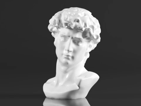 Cozylkx 114 Inch Premium Resin Greek Michelangelo David Bust Statue Replica Sculpture Home Art Deco 3D Print Model