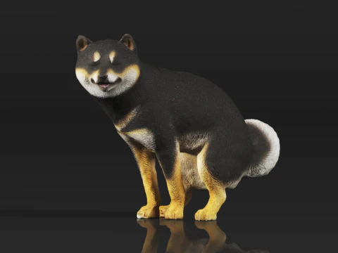 Half Crouching Pee with Fake Poop or Urine Model Shiba 3D Print Model