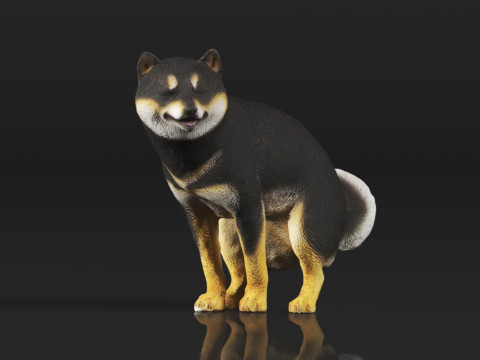 Half Crouching Pee with Fake Poop or Urine Model Shiba 3D प्रिंट मॉडल