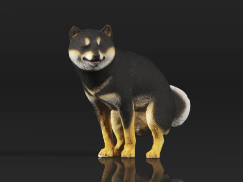 Half Crouching Pee with Fake Poop or Urine Model Shiba 3D Print Model