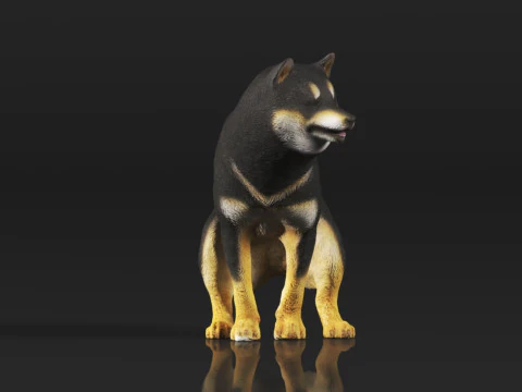 Half Crouching Pee with Fake Poop or Urine Model Shiba 3D Print Model