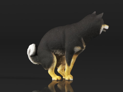 Half Crouching Pee with Fake Poop or Urine Model Shiba 3D प्रिंट मॉडल