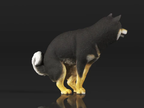 Half Crouching Pee with Fake Poop or Urine Model Shiba 3D Print Model