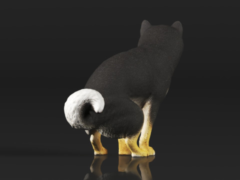 Half Crouching Pee with Fake Poop or Urine Model Shiba 3D प्रिंट मॉडल