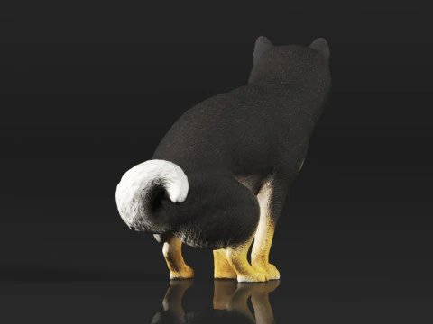 Half Crouching Pee with Fake Poop or Urine Model Shiba 3D Print Model