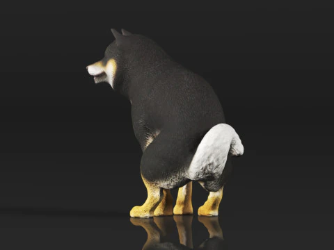 Half Crouching Pee with Fake Poop or Urine Model Shiba 3D Print Model