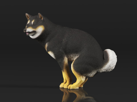 Half Crouching Pee with Fake Poop or Urine Model Shiba 3D प्रिंट मॉडल