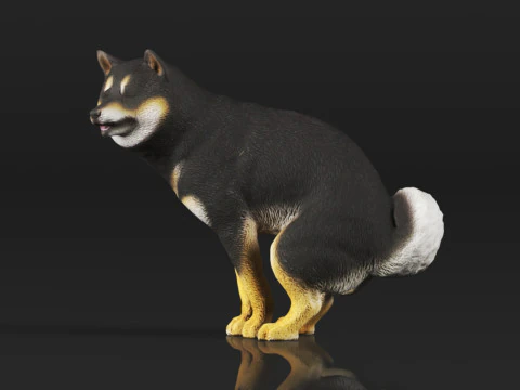 Half Crouching Pee with Fake Poop or Urine Model Shiba 3D Print Model