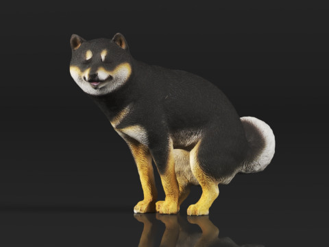 Half Crouching Pee with Fake Poop or Urine Model Shiba 3D प्रिंट मॉडल