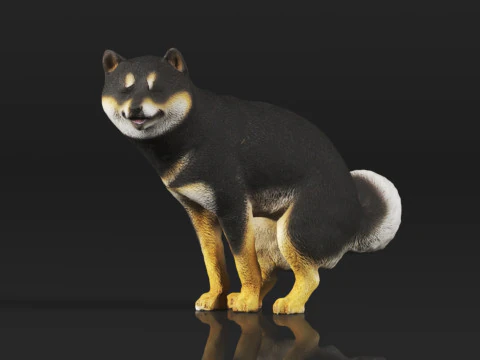 Half Crouching Pee with Fake Poop or Urine Model Shiba 3D Print Model