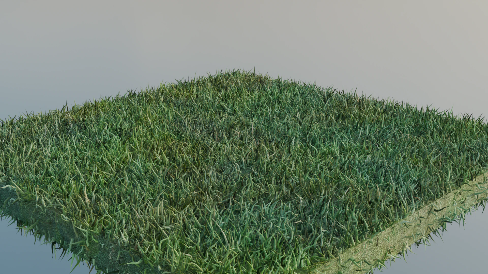 草 3Dモデル .c4d .max .obj .3ds .fbx .stl .blend 