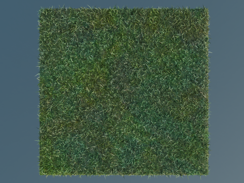 Grass 3Dモデル