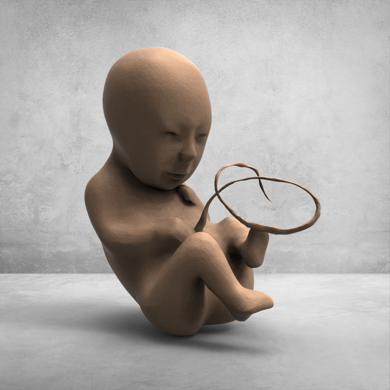 3D Fetus Model - High-Quality Printable 3D-Modell .c4d .max .obj .3ds .fbx .stl .blend 
