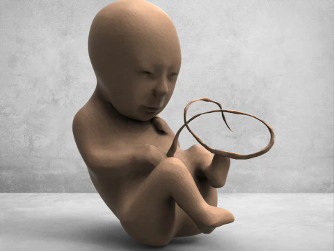 3D 태아 모델 - 고품질 인쇄 가능 3D 모델