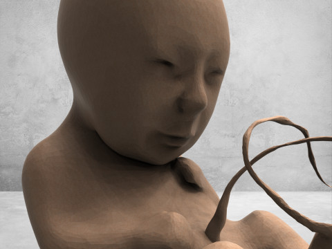 3D Fetus Model - High-Quality Printable 3D-Modell