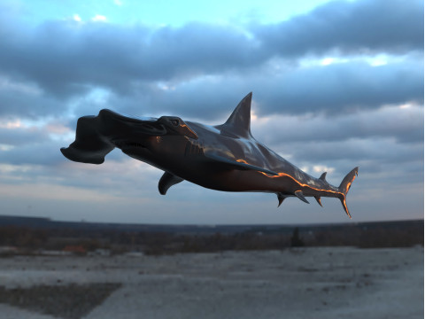 Realistic Hammerhead Shark - High Poly and Low Poly 3Dモデル