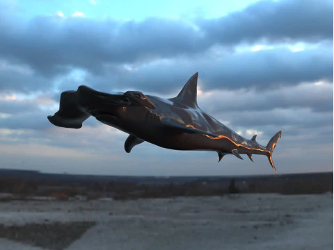 Realistischer Hammerhai &ndash; High Poly und Low Poly 3D Modell