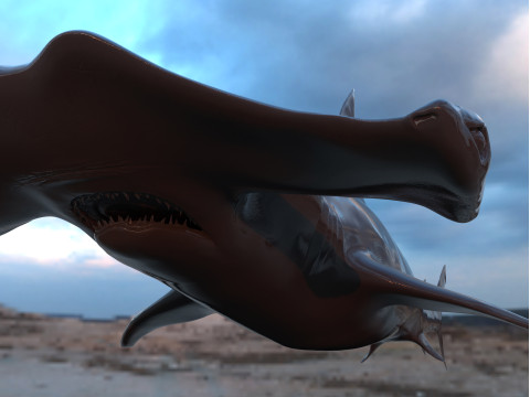 Realistic Hammerhead Shark - High Poly and Low Poly Model 3D