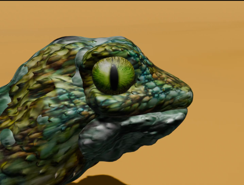 Lizard 3D Model .c4d .max .obj .3ds .fbx .stl .blend 