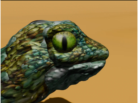 Lizard 3D Model