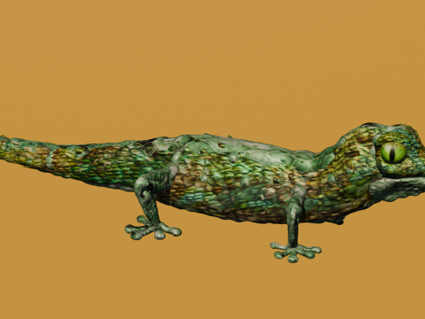 Lizard 3D Model
