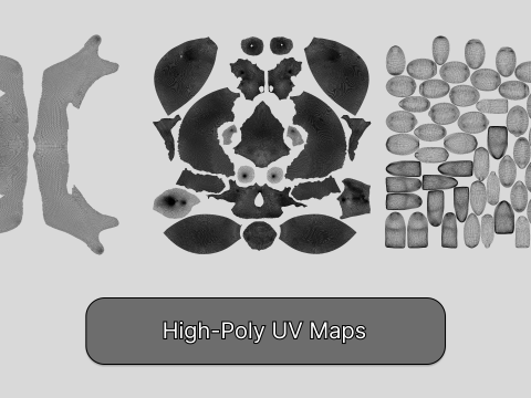 Realistic Human Skull High Poly and Low Poly Versions Modello 3D