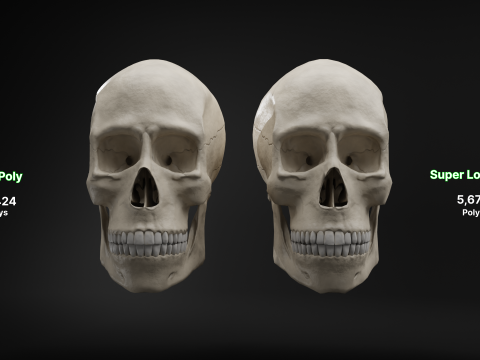 Low-Poly Realistic Human Skull 3D Модель