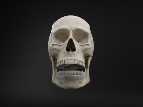Low-Poly Realistic Human Skull 3D Модель
