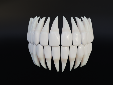 Clean Human Teeth Realistic and Detailed Low-poly Modelo 3D