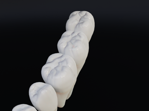 Clean Human Teeth Realistic and Detailed Low-poly Modelo 3D