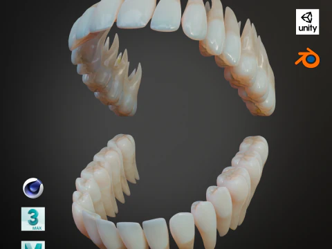 Denti umani sporchi Low-poly realistico e dettagliato Modello 3D
