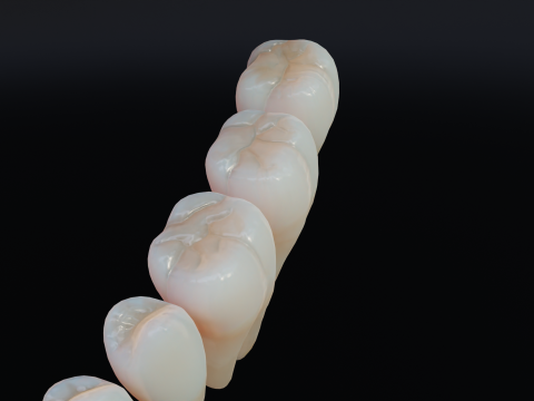 Dirty Human Teeth Realistic and Detailed Low-poly 3D 模型