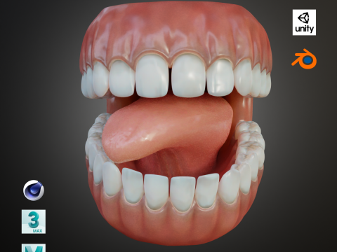 Human Mouth with Teeth Tongue and Gums - Rigged Low-poly 3D Model