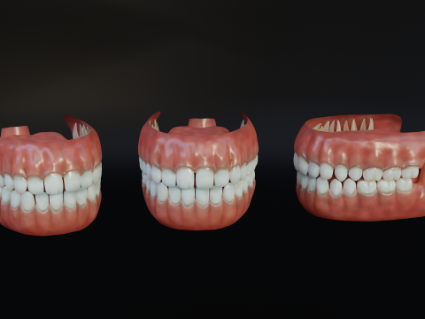 Human Mouth with Teeth Tongue and Gums - Rigged Low-poly Model 3D