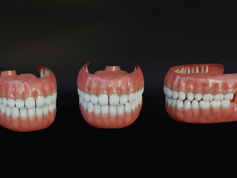Human Mouth with Teeth Tongue and Gums - Rigged Low-poly 3D Model