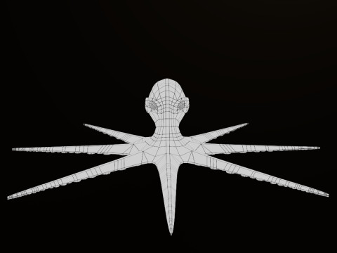 octopus 3D Model