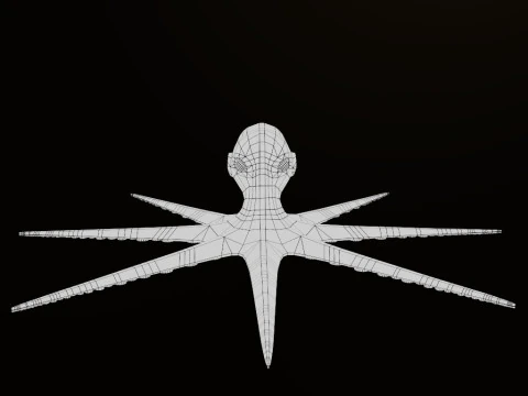 octopus 3D Model