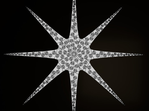 octopus 3D Model