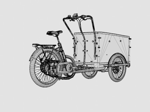 ECargo Squared Bike Model 3D