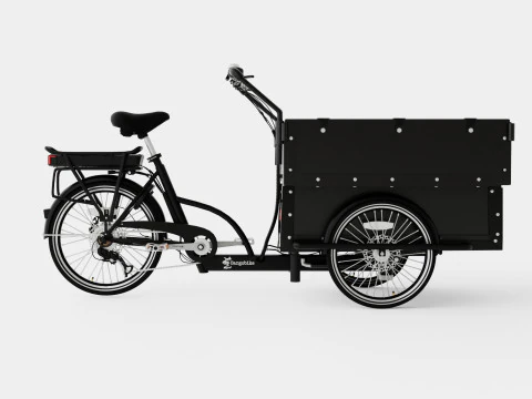 Cargobike Kindergarden 3D Model
