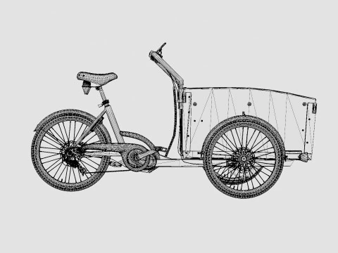 Rower towarowy DeLight Model 3D