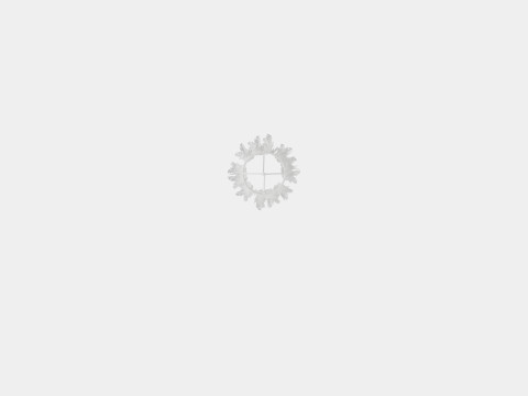 Mobile Springs Light 3D Model